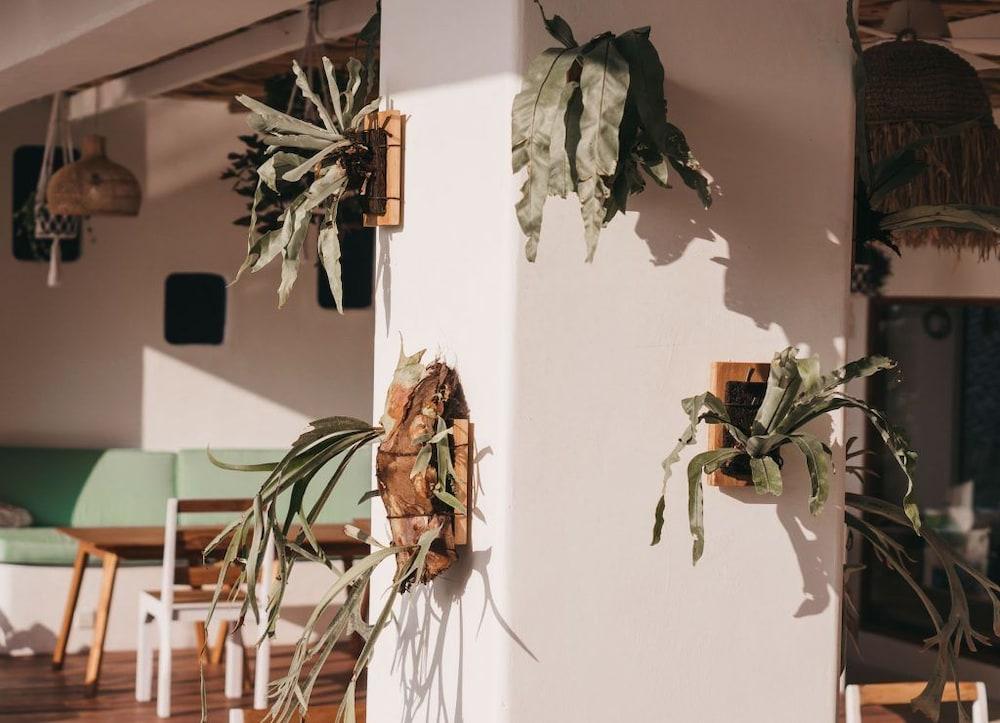Canggu Village Accommodation Εξωτερικό φωτογραφία