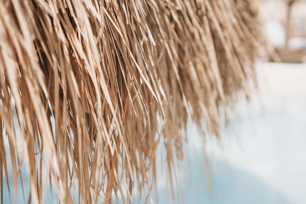 Canggu Village Accommodation Εξωτερικό φωτογραφία